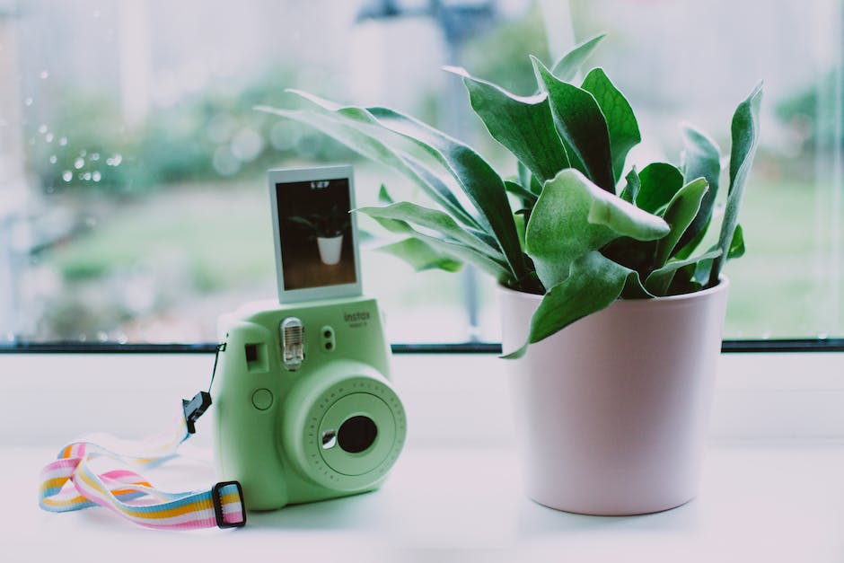  Polaroid Kameras Funktionsweise erklärt